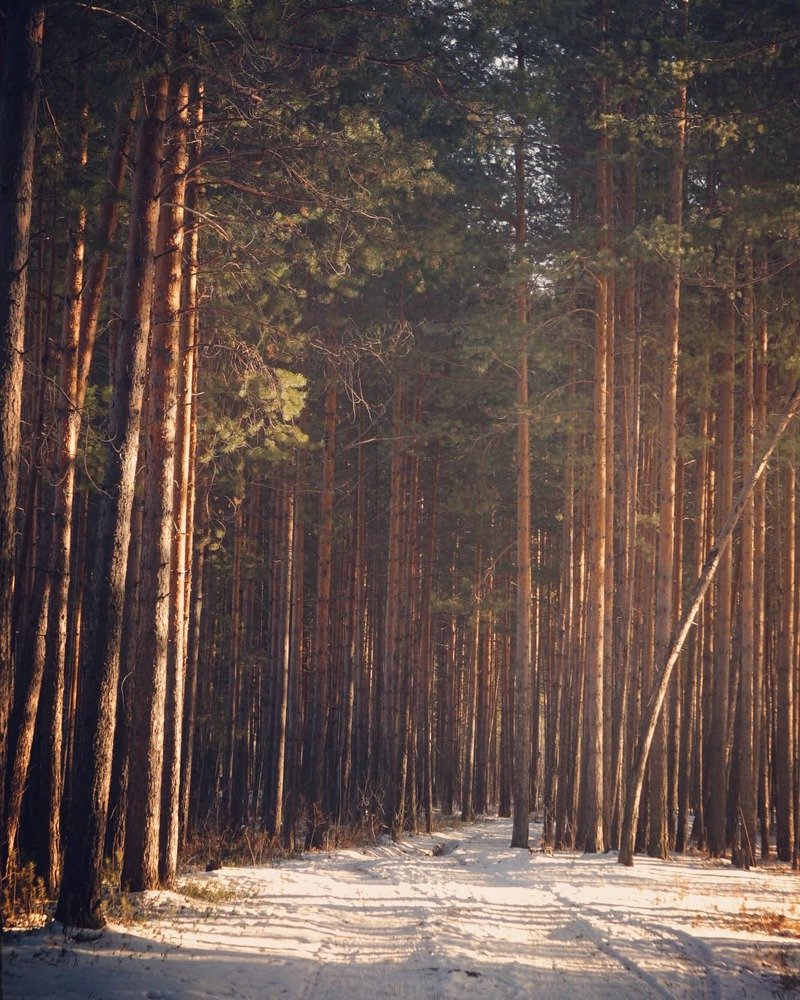 Зима. Начало...