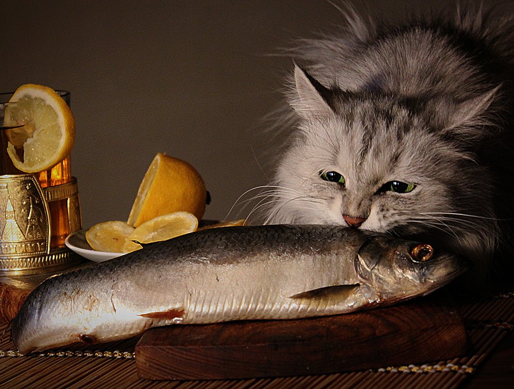 Photograph by Зоя Быкова