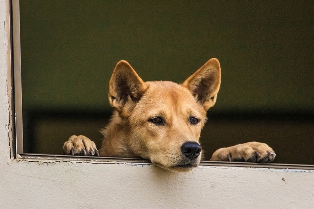 Photograph by Vladimir Schelkunov