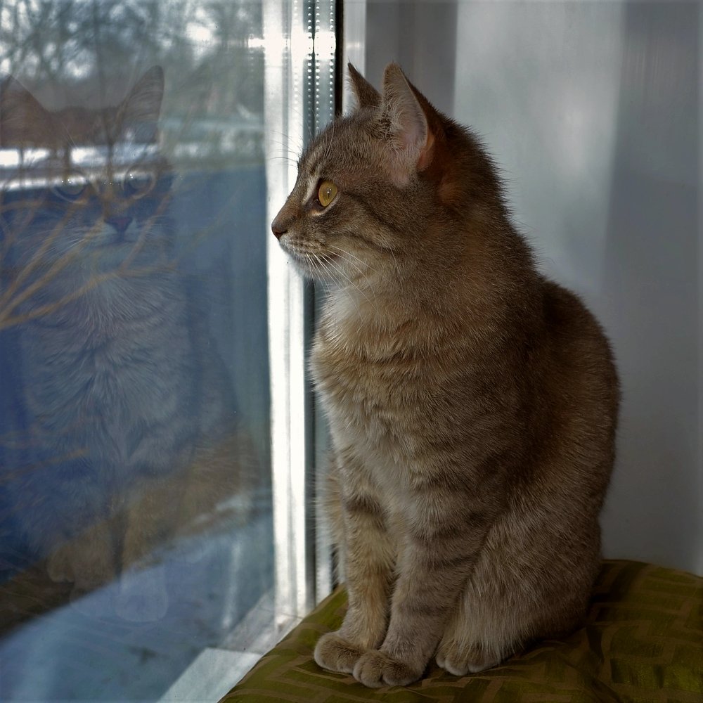 Photograph by Татьяна Рябова