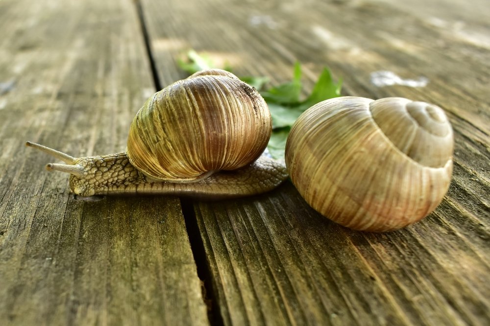 Photograph by Валерий Талейко