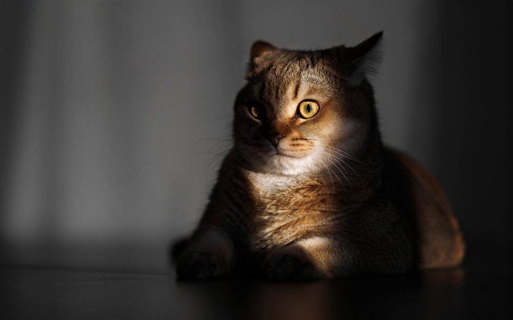 Когда осознал этот мир