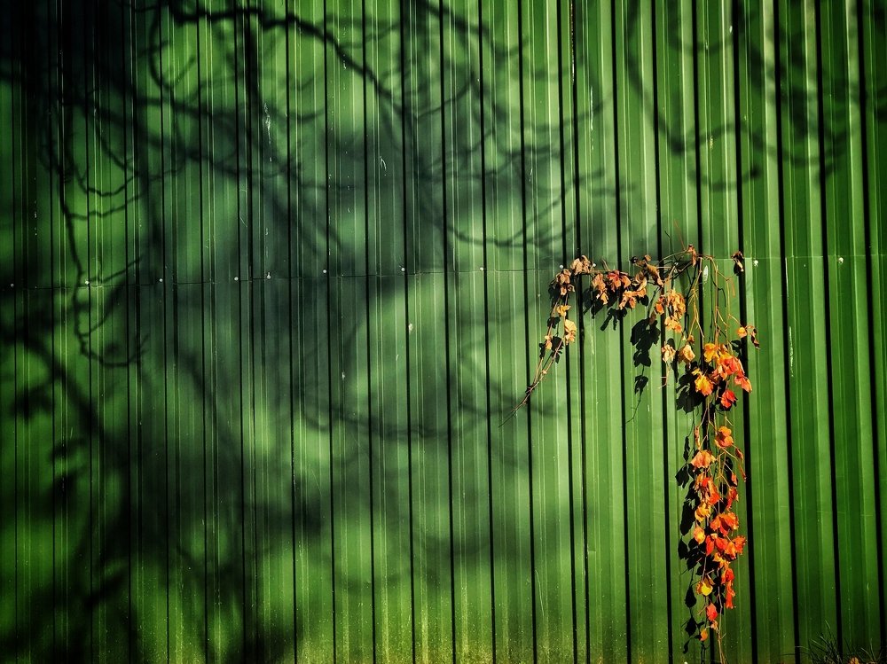 Фотография автора alireza Navid M,G.