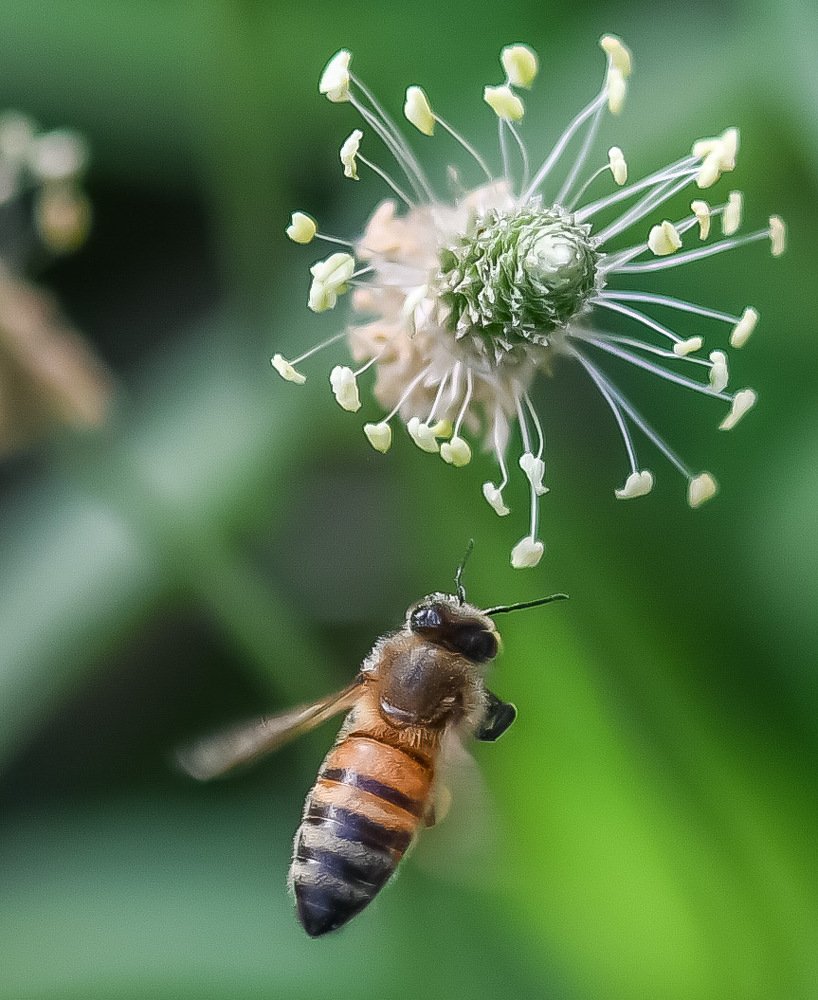Photograph by Людмила Мамулат