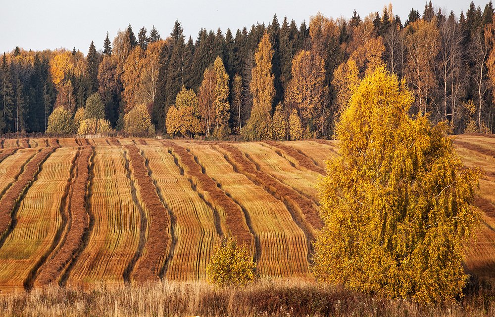 Photograph by Тамара Андреева