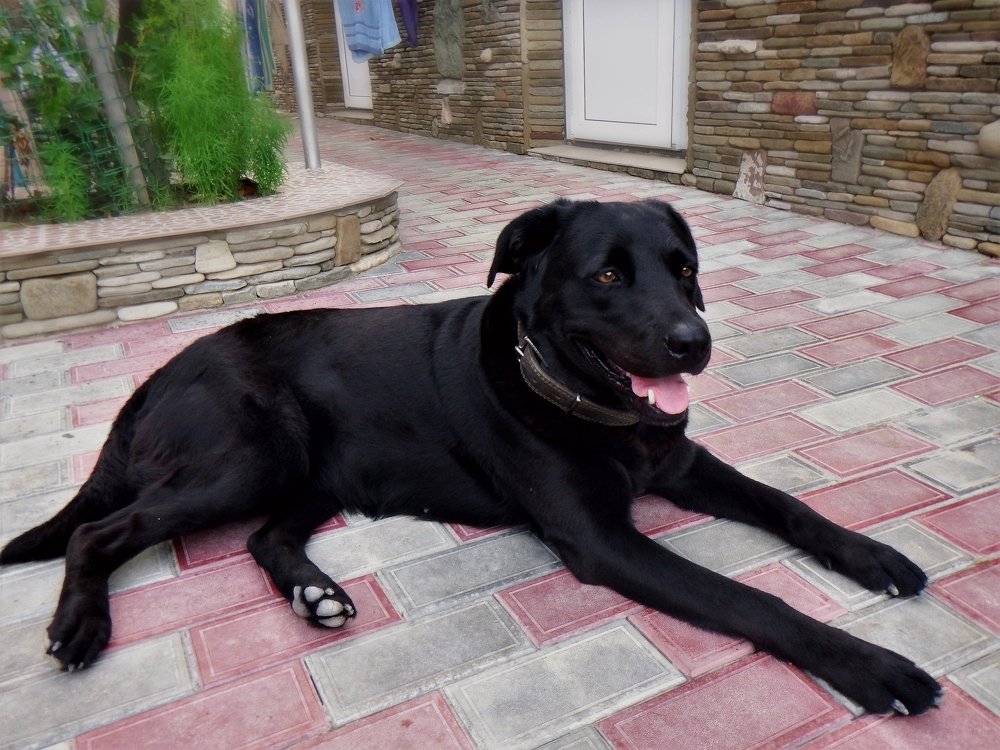 Photograph by Татьяна Рябова