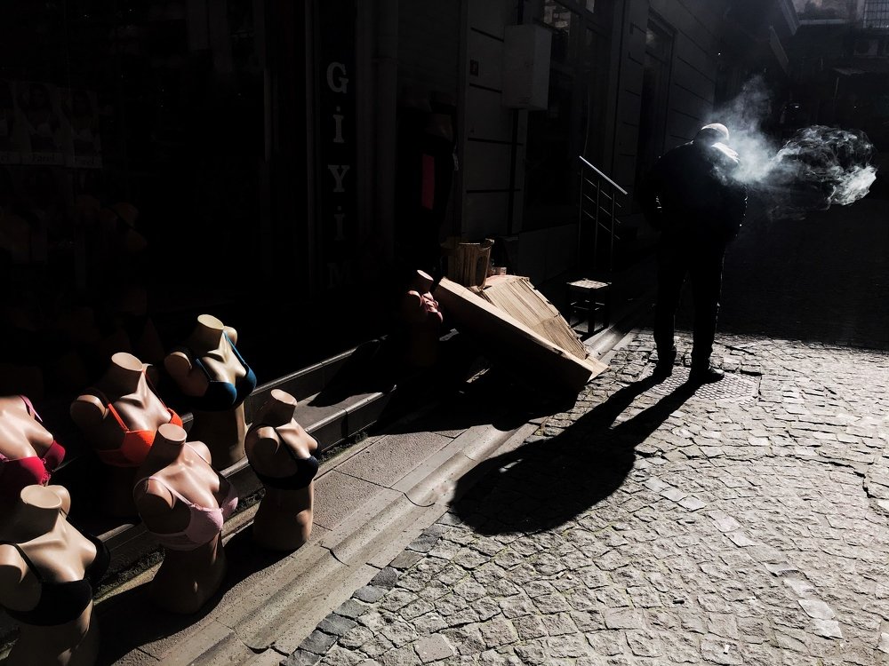 Фотография автора alireza Navid M,G.