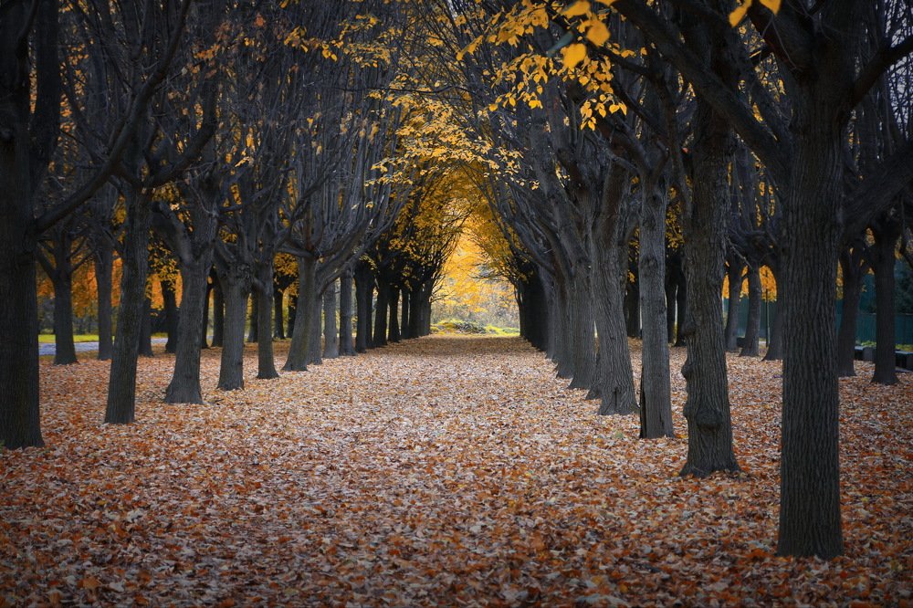 Осенний коридор.