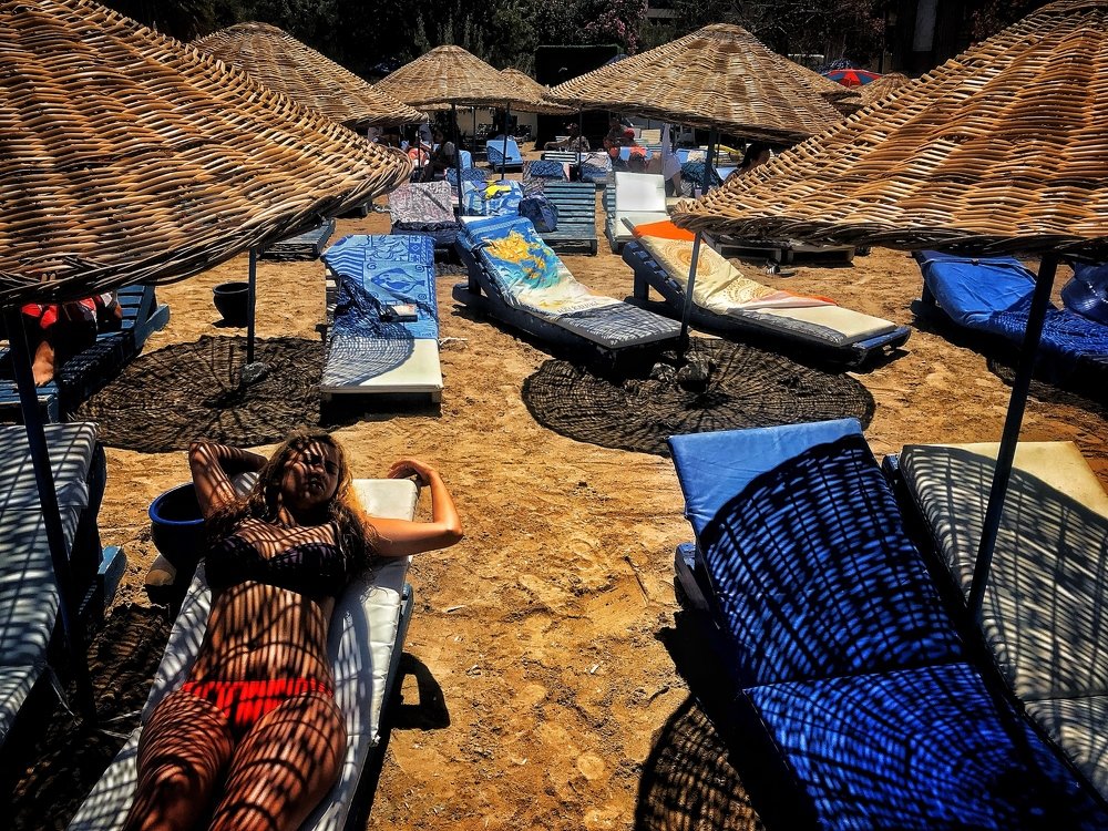 Фотография автора alireza Navid M,G.