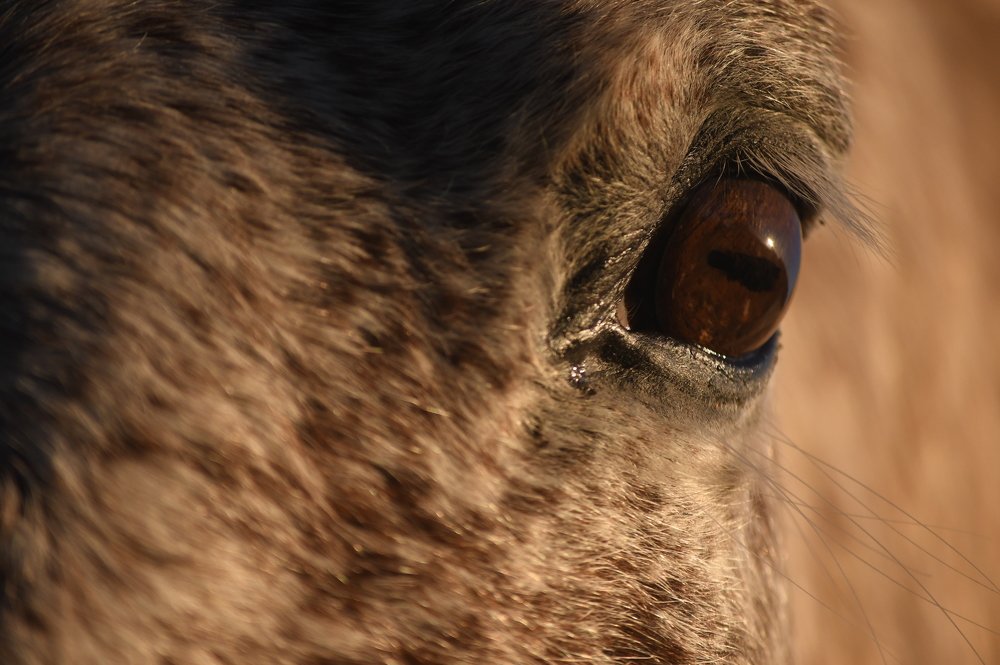 Photograph by stefanini alexis