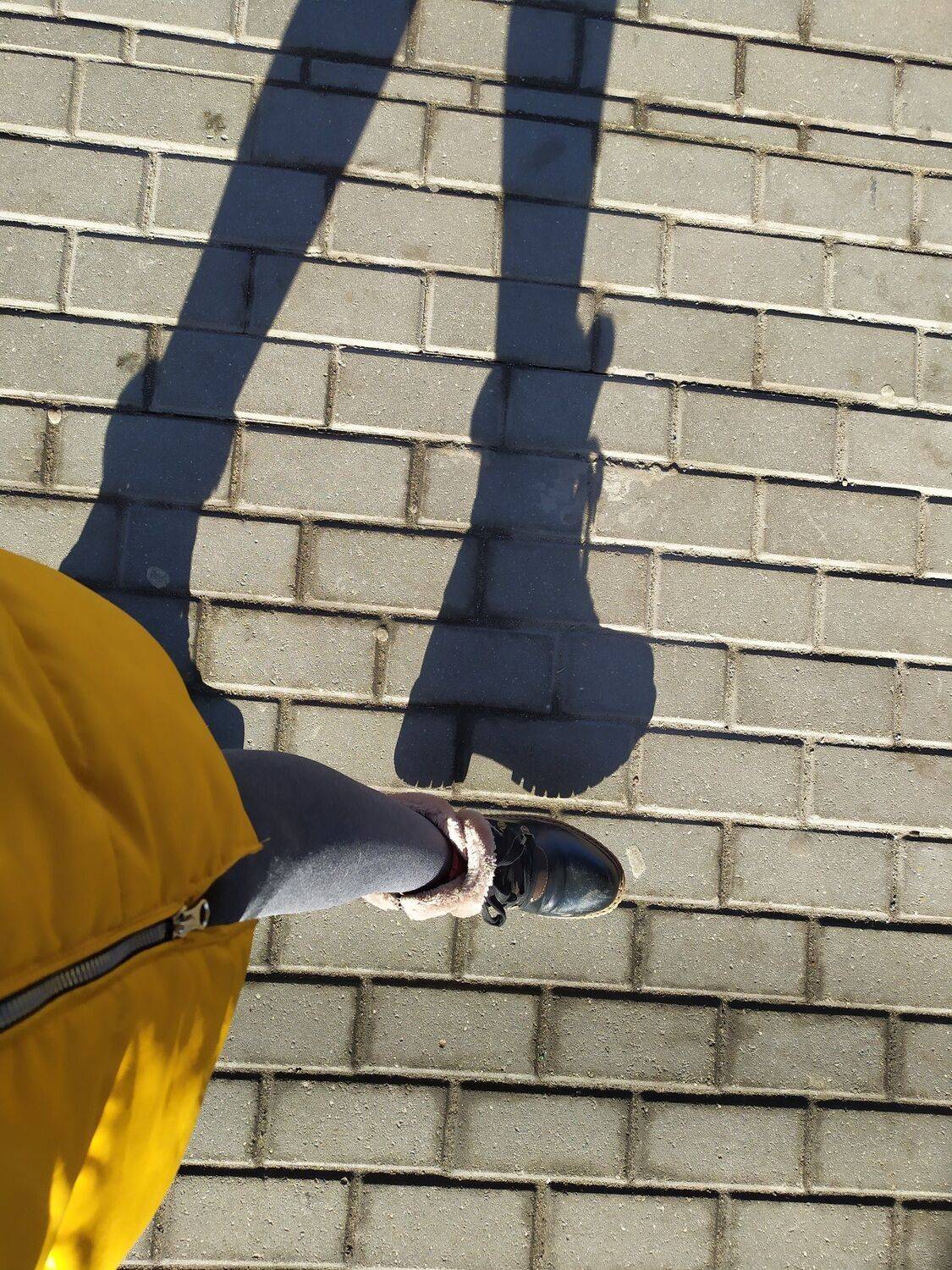 Photo #5334508