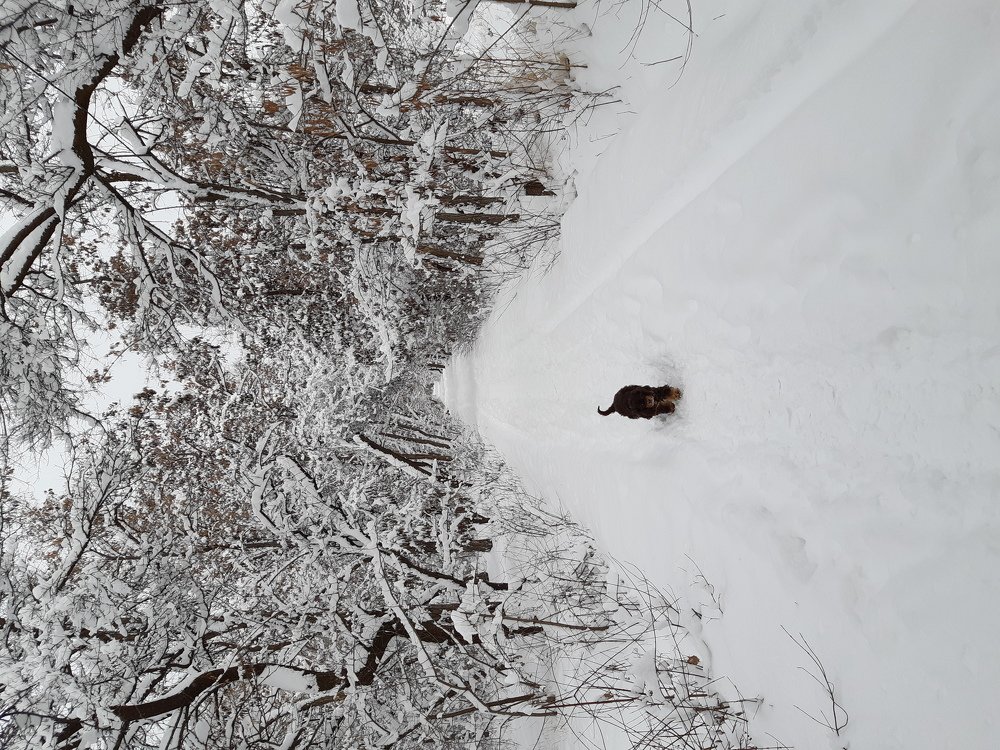 Photograph by Inessa Botasheva