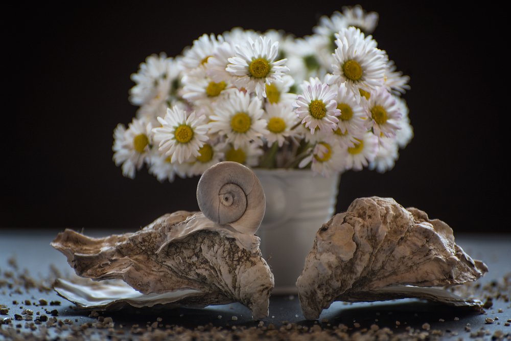 Photograph by Svetlana Milcheva