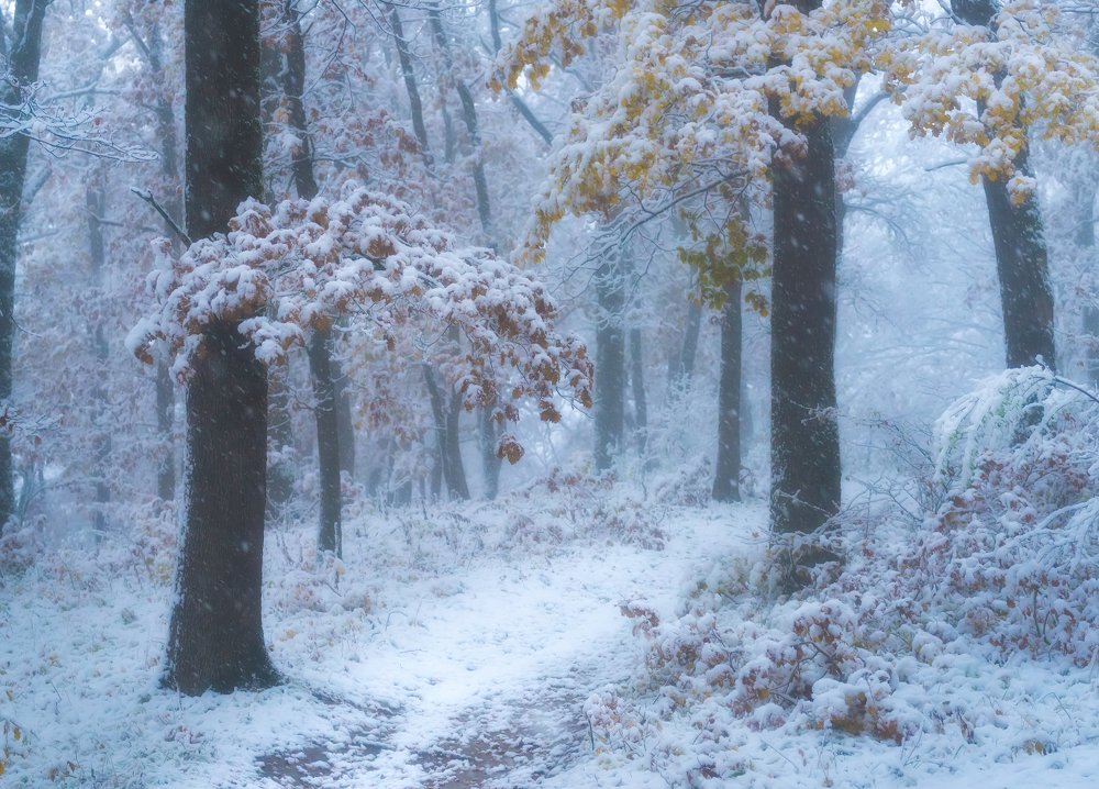 Photograph by Александр Орнатский