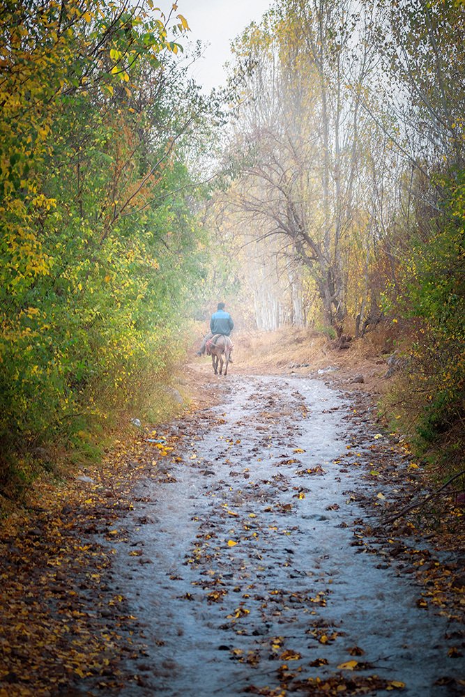 Photograph by Amir Ramezani