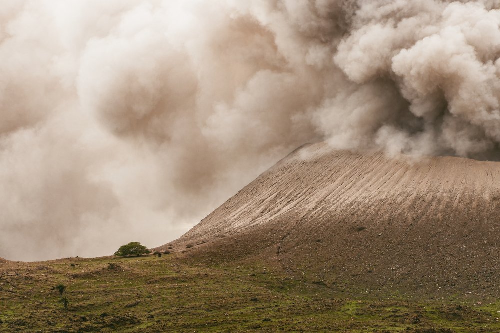 Photograph by Anton Werner