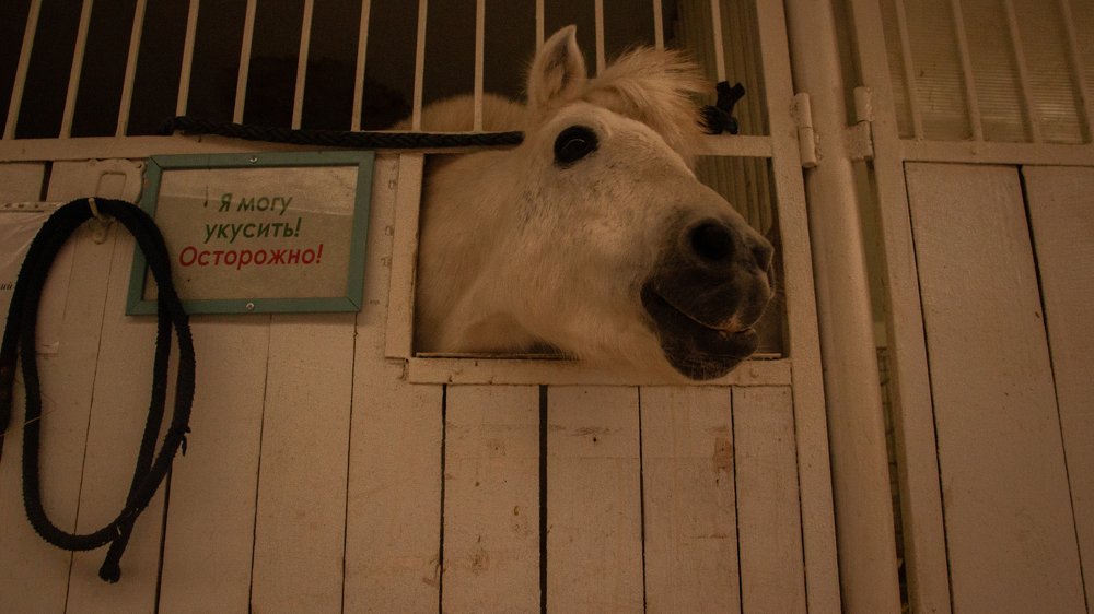 Photograph by Ксения Глубокова