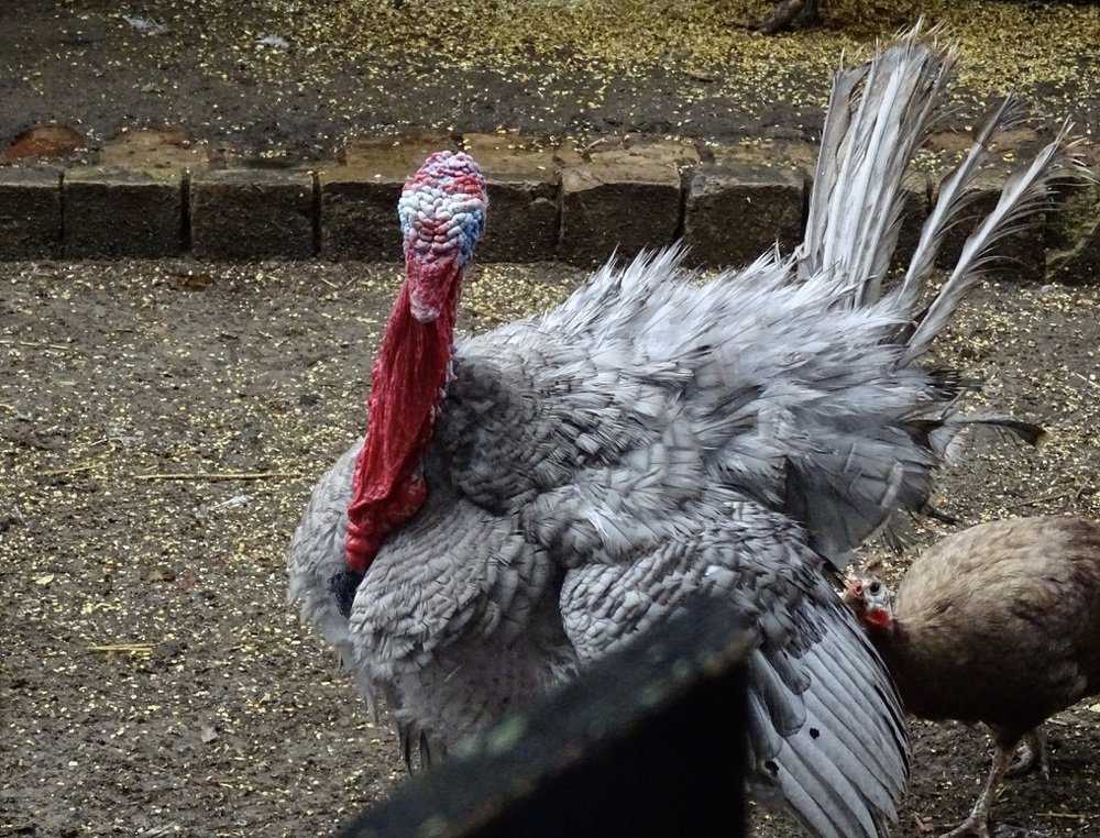 Photograph by Sona Sahakian