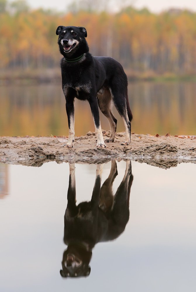 Photograph by Олег Милеев (Каминцев)