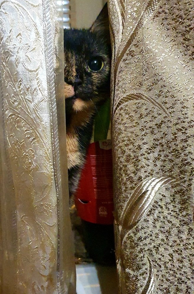 Photograph by Вера Курносова