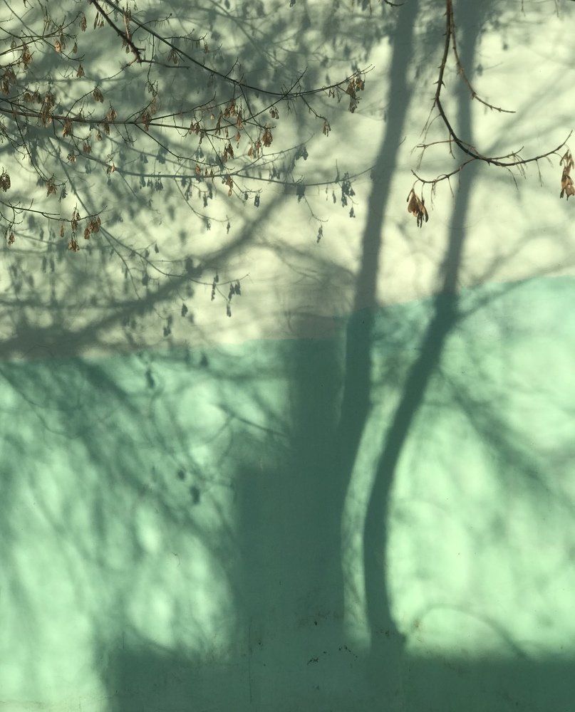 Photograph by Екатерина Заживихина