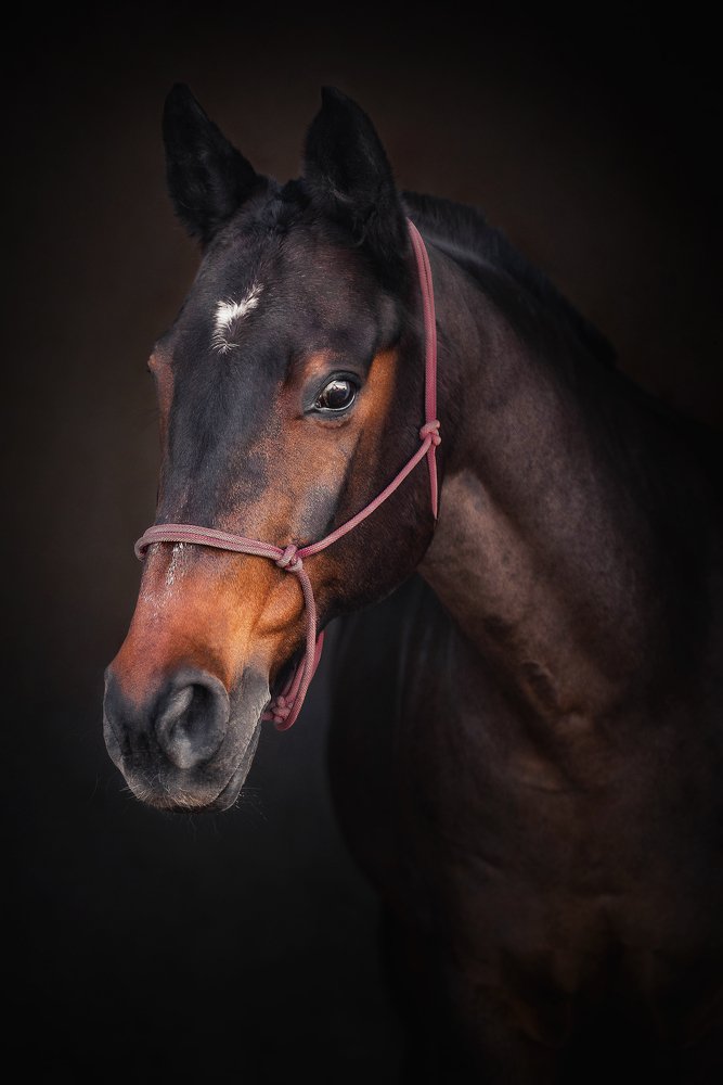 Photograph by PO IRINA