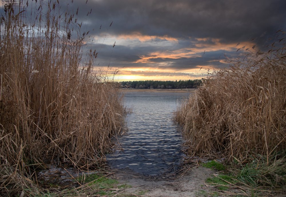 Photograph by Ольга Власенко