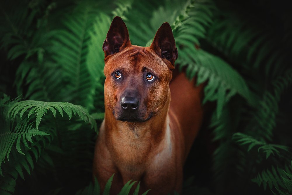 Photograph by PO IRINA