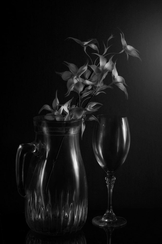 Photograph by aicha nouacer