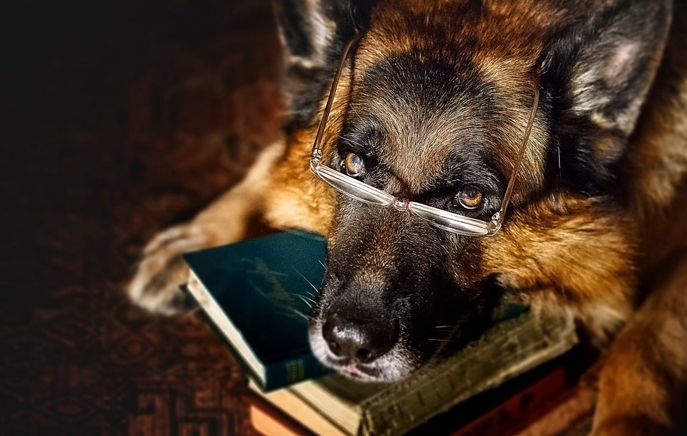 Photograph by Ольга Калимулина