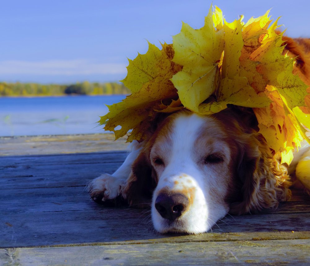 Photograph by Liudmila Drake