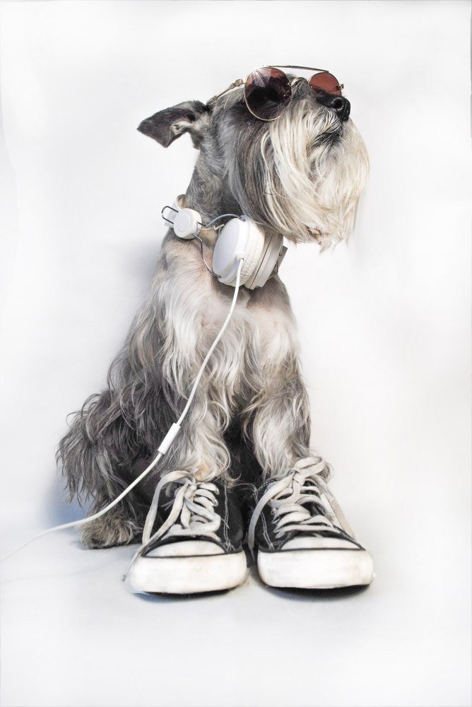 Photograph by Наталья Николаева