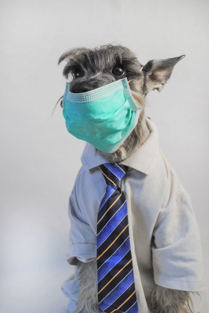 Photograph by Наталья Николаева