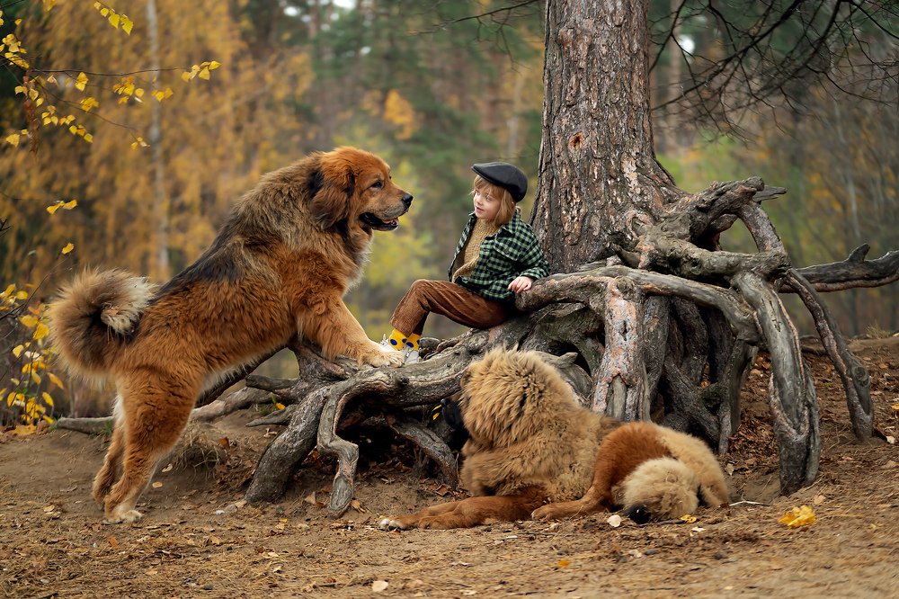 Photograph by Анна Иноземцева