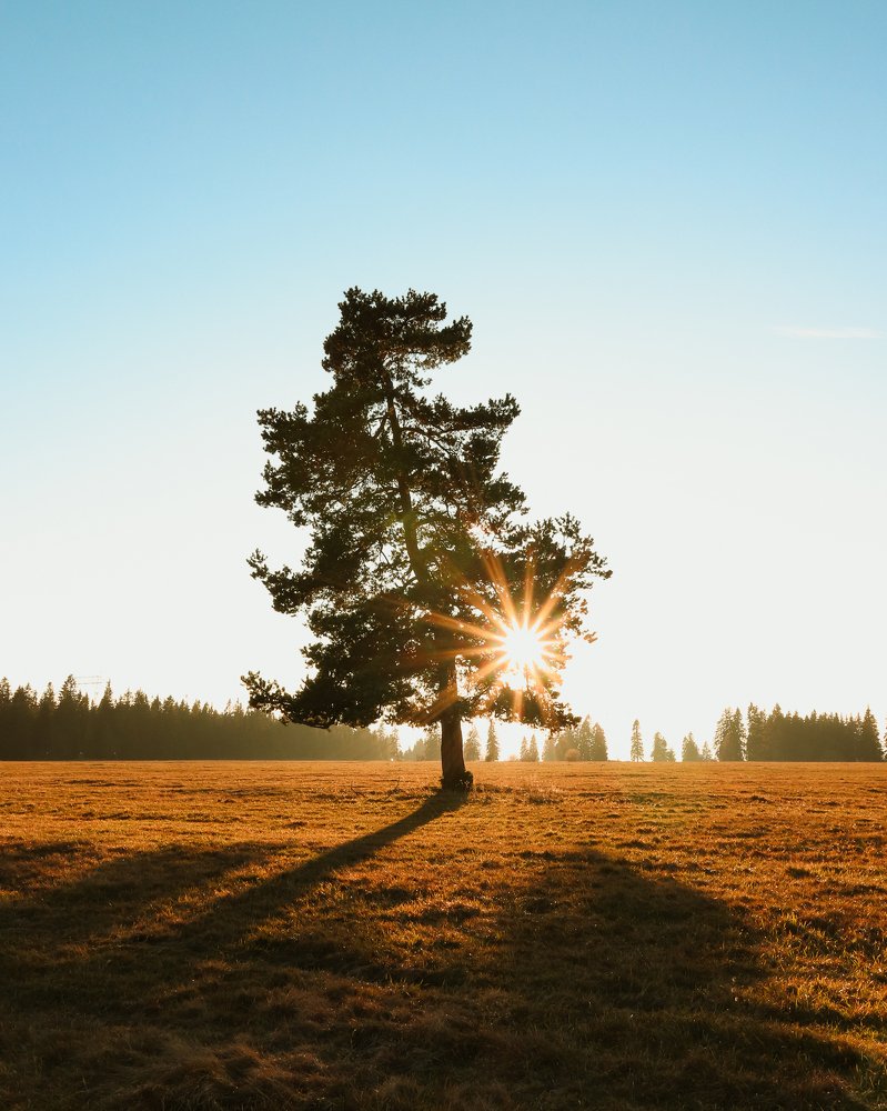 Photograph by Melich Samuel