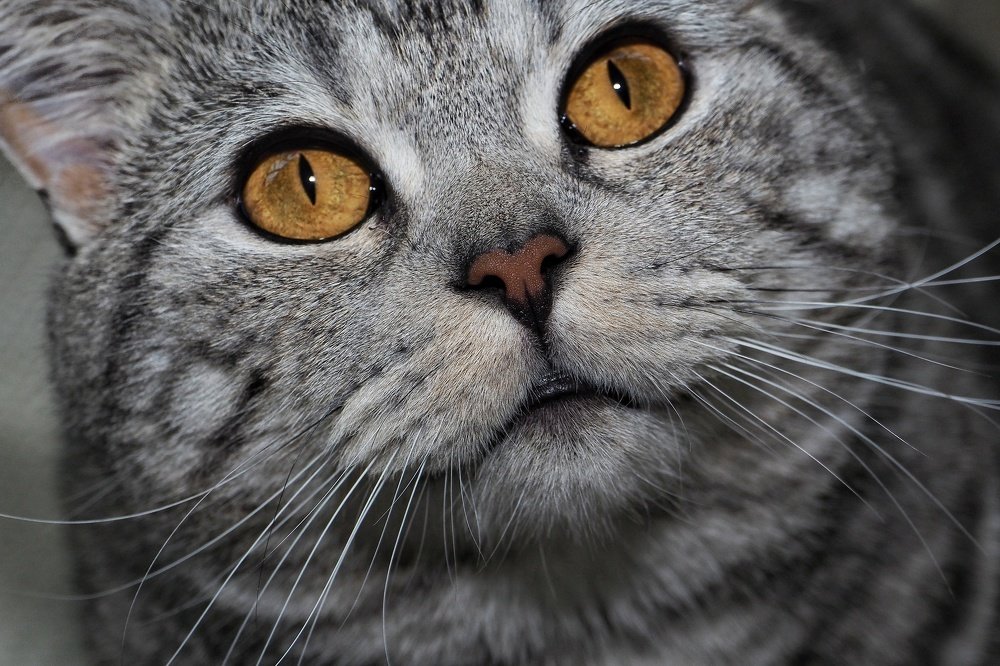 Photograph by Илья Шамин