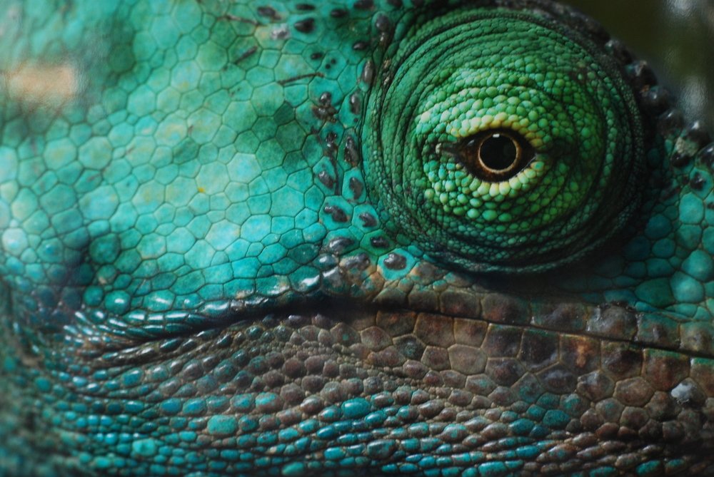 Photograph by Сергей Лобозов