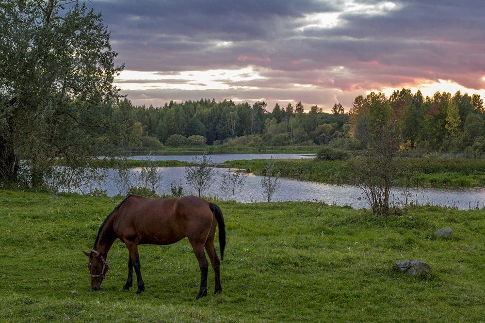 Photograph by Елена Гусева