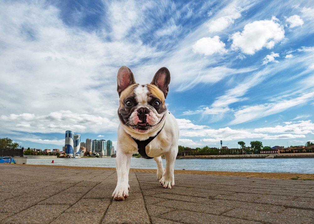 Самый обаятельный и привлекательный!