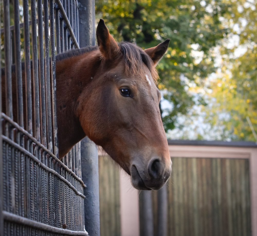 Photograph by Ольга Мендоса