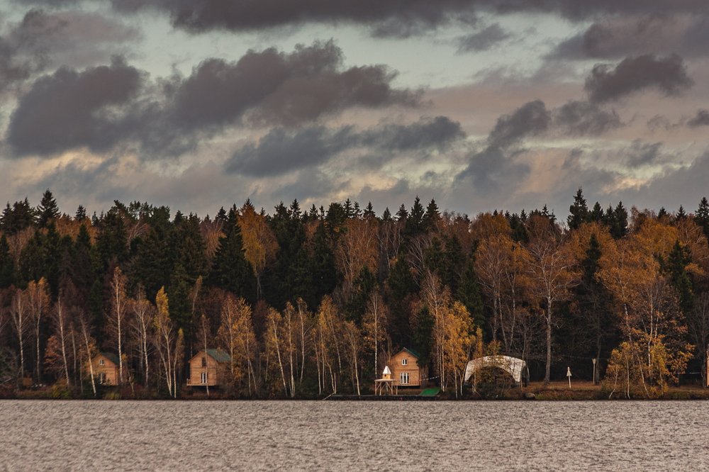 Осеннее ненастье