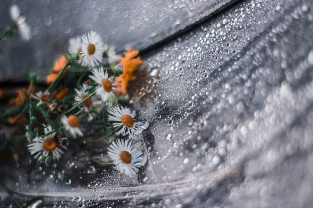 Photograph by Тэтью Лютая