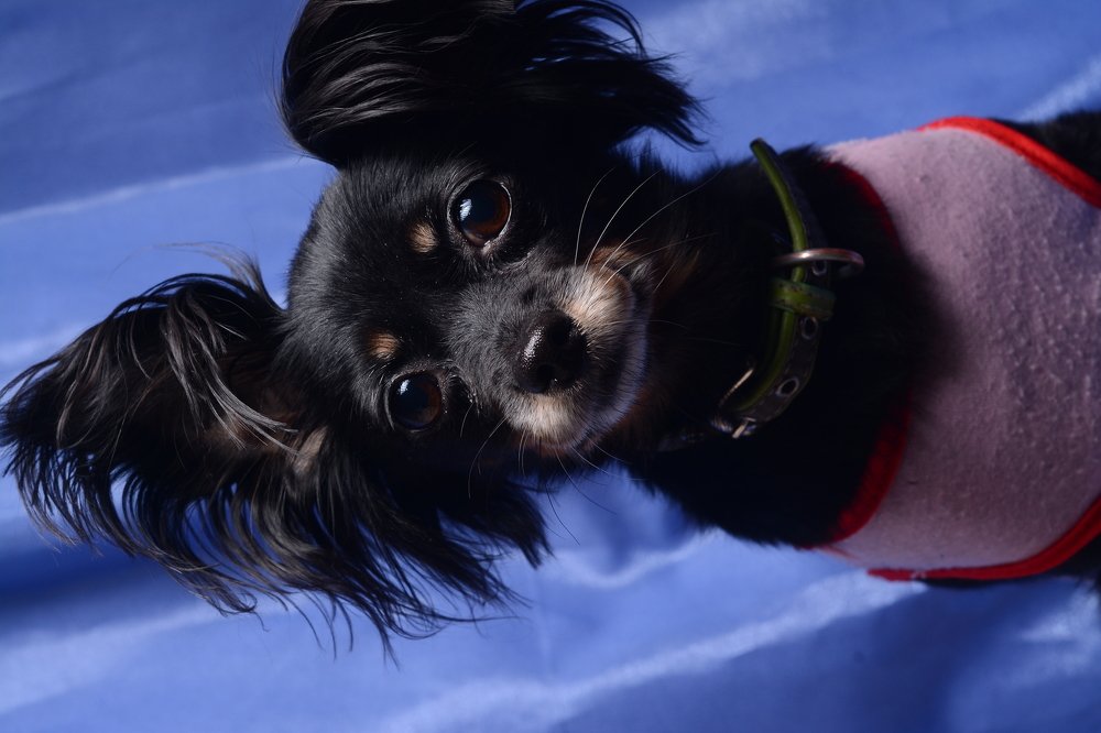 Photograph by Ольга Истомина