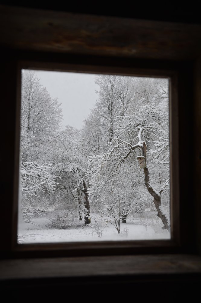 Morning behind the window...