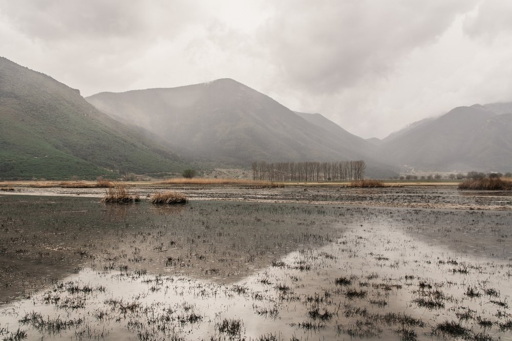 Photograph by Panagiotis Grammatikakis