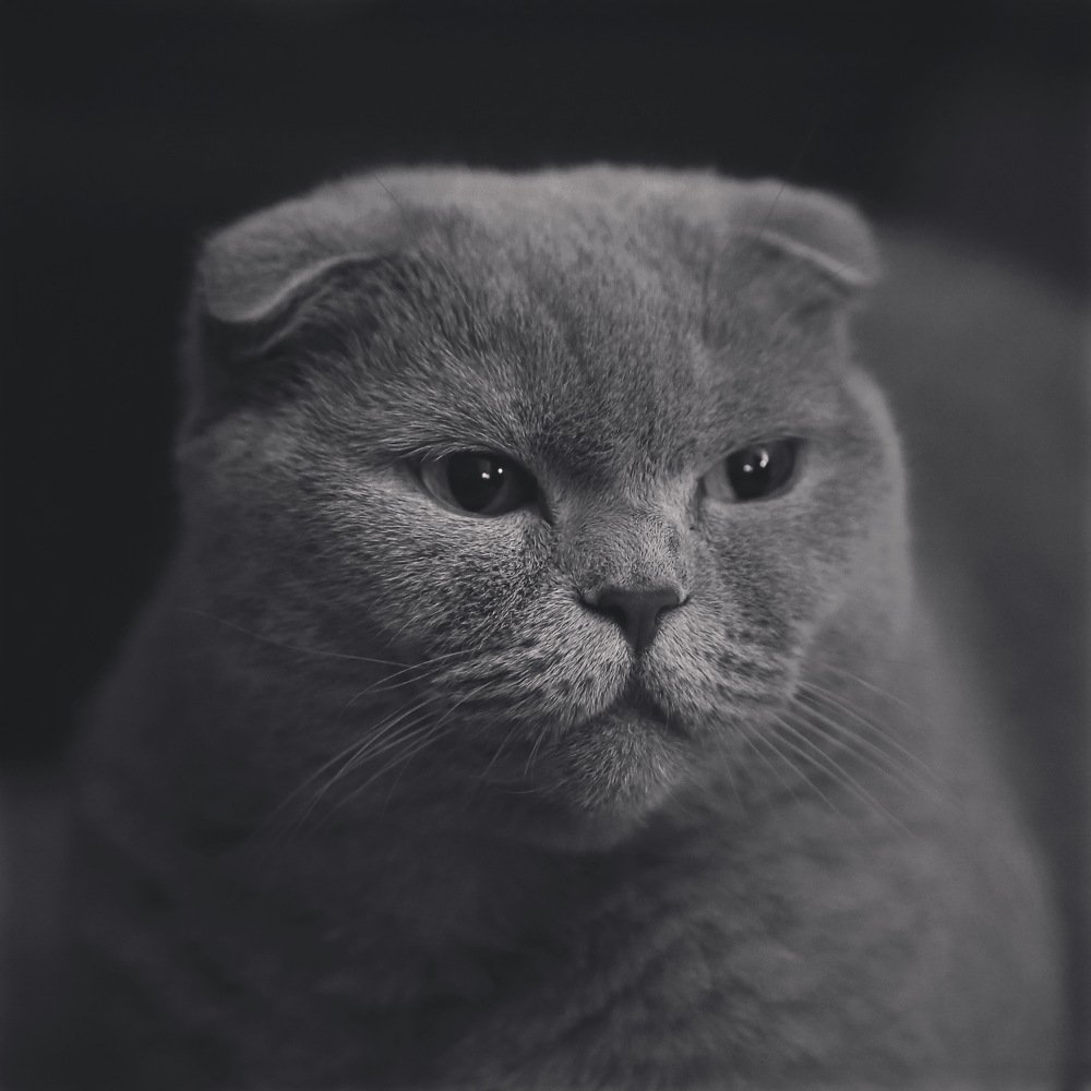 Photograph by Михаил