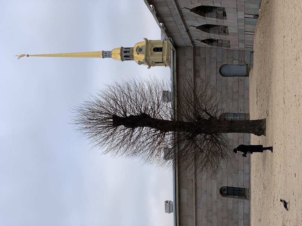 Петербургские зарисовки.