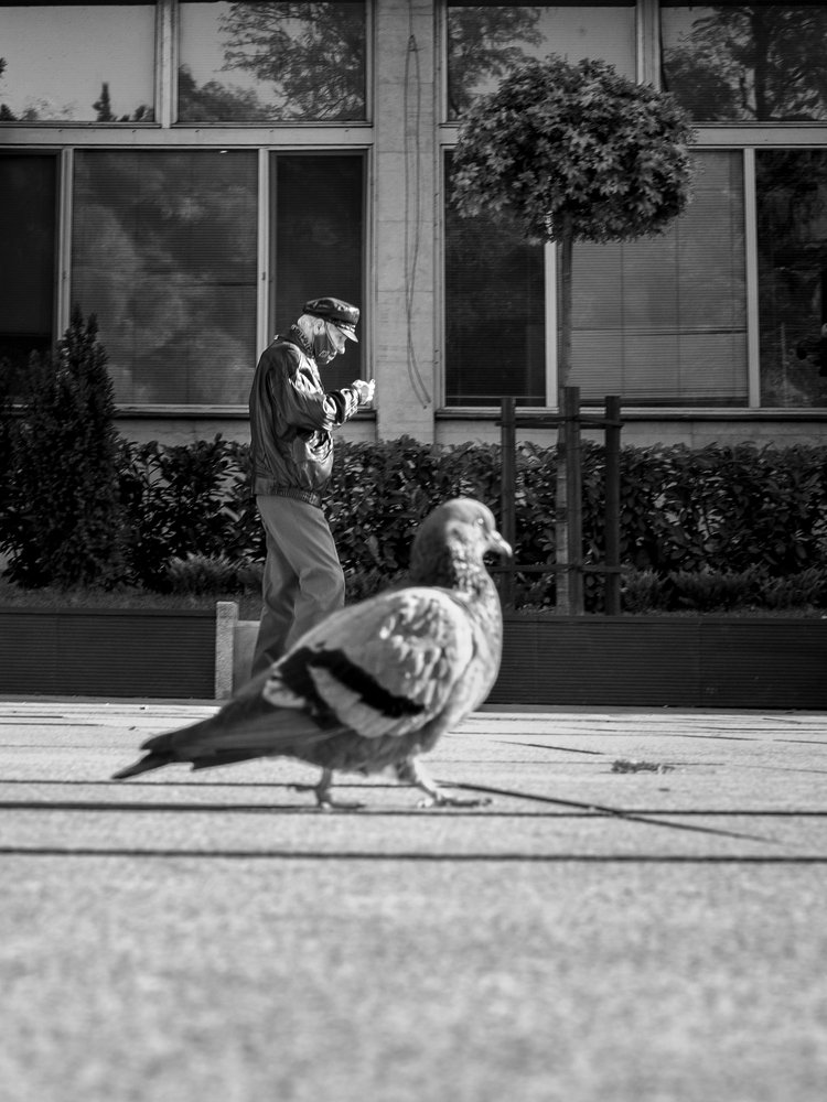 Photograph by Rumen Kurtev