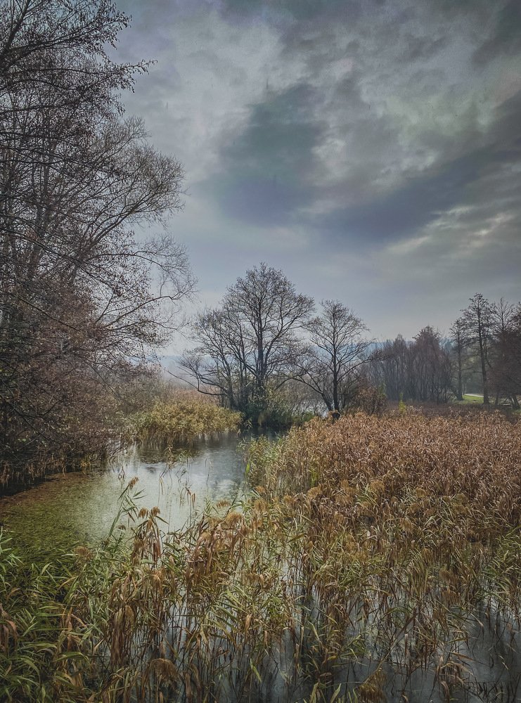 The Shades of Autumn