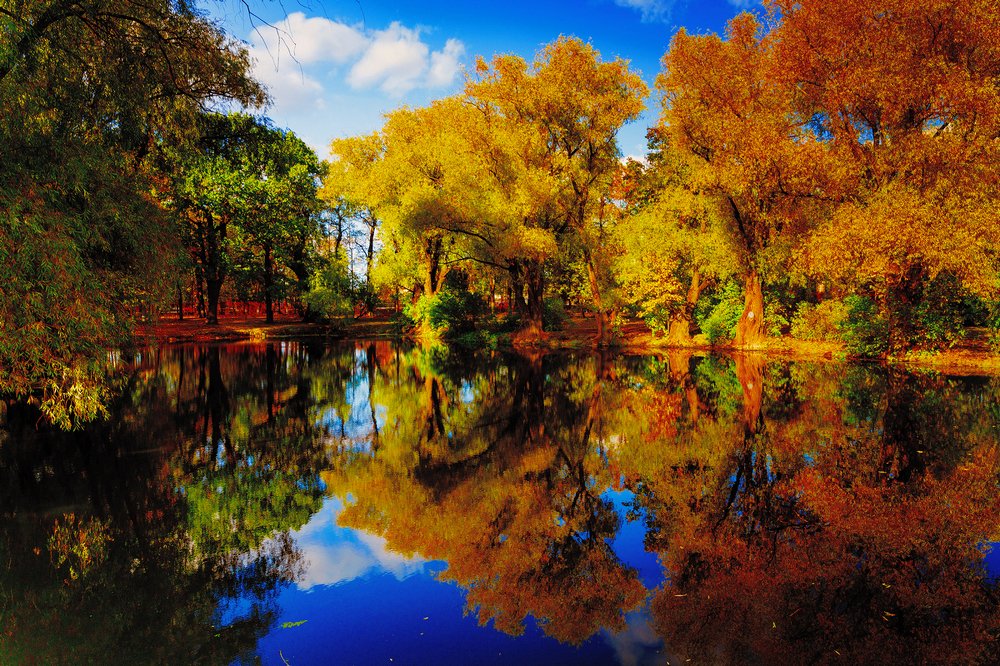 Photograph by Переслегин Александр